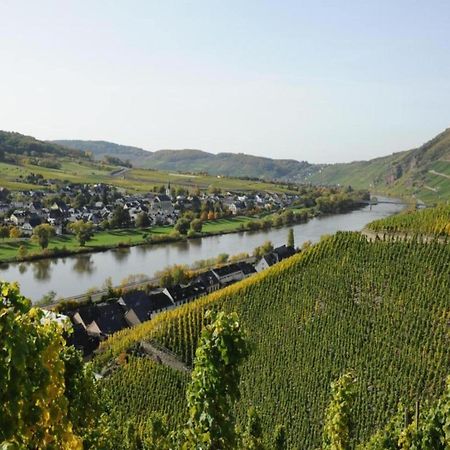 Sch Ne Wohnung In Der Moselregion Kinheim Esterno foto