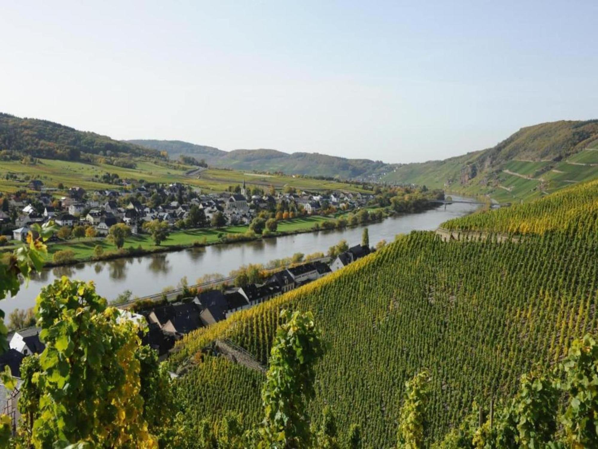 Sch Ne Wohnung In Der Moselregion Kinheim Esterno foto