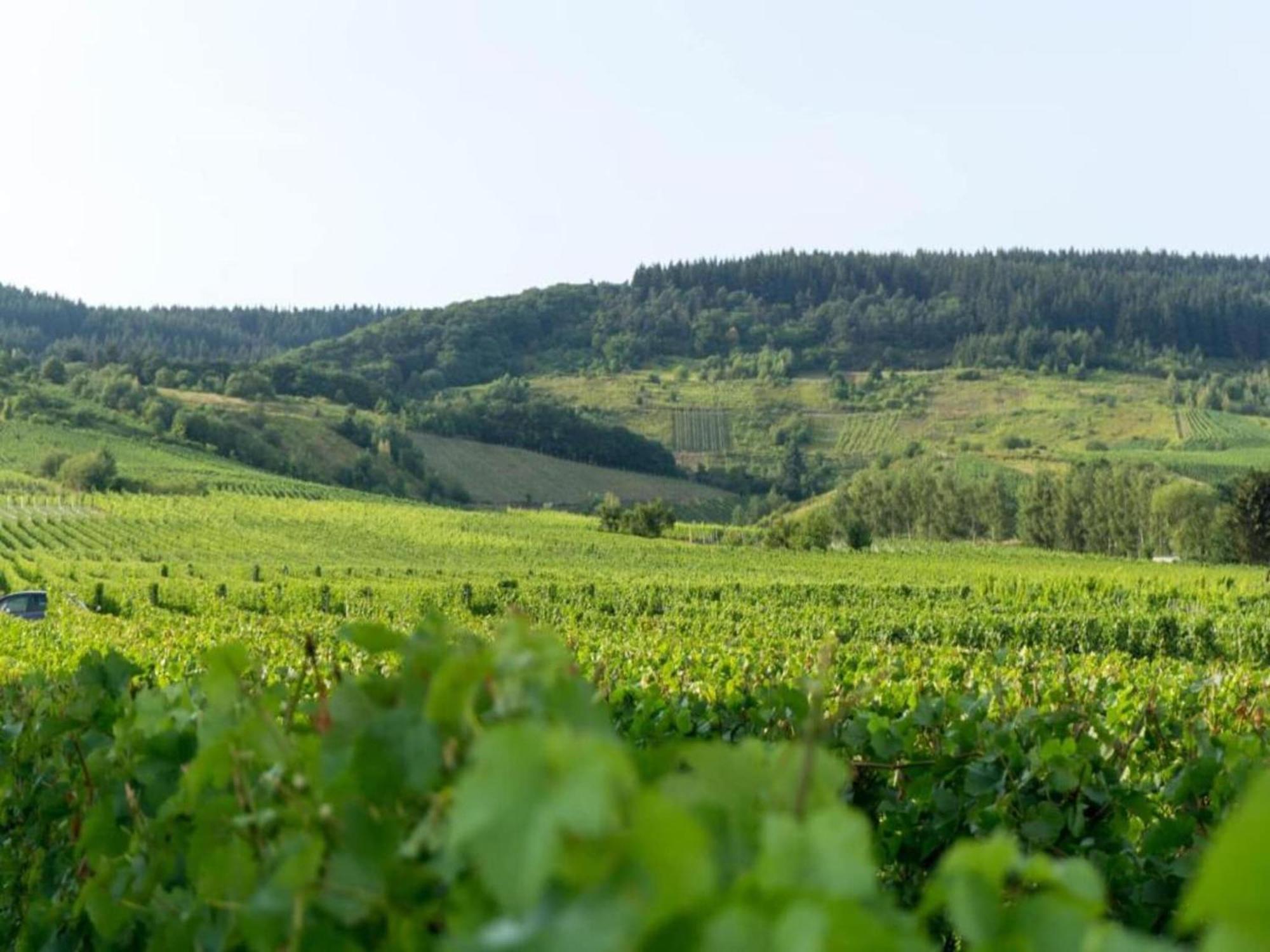 Sch Ne Wohnung In Der Moselregion Kinheim Esterno foto