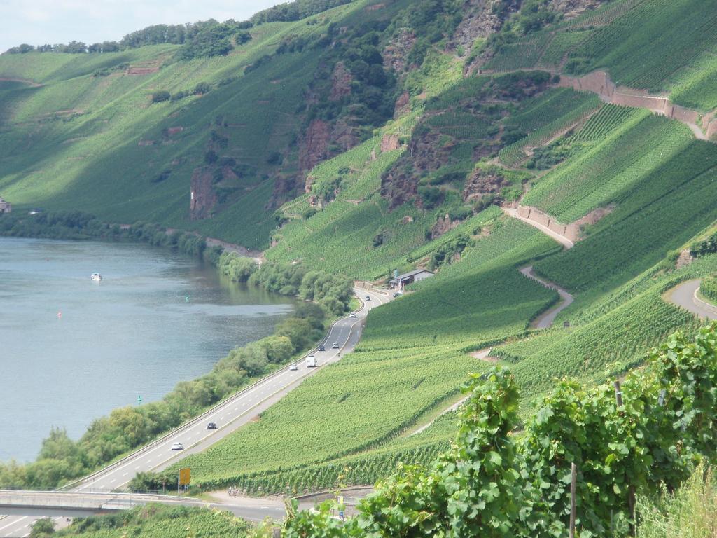 Sch Ne Wohnung In Der Moselregion Kinheim Esterno foto