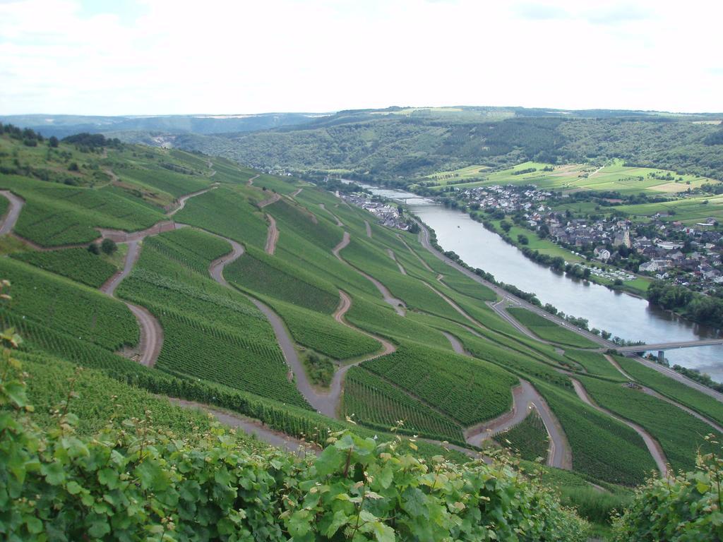 Sch Ne Wohnung In Der Moselregion Kinheim Esterno foto