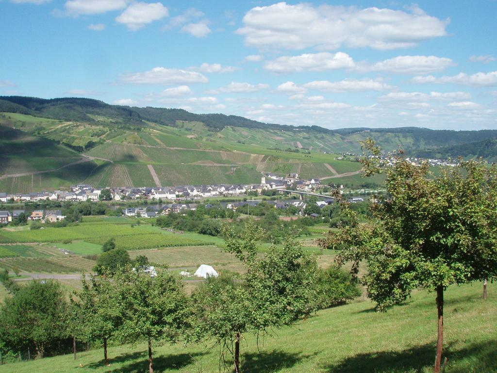 Sch Ne Wohnung In Der Moselregion Kinheim Esterno foto